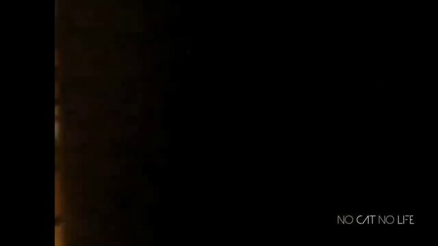 Смешные видео часть 5