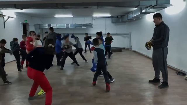 Кикбоксинг