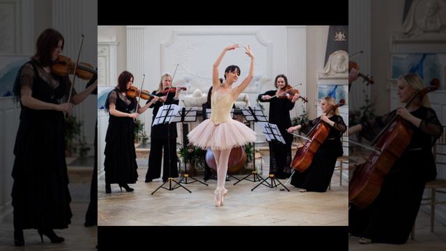 The Nutcracker   Sugar Plum Fairy