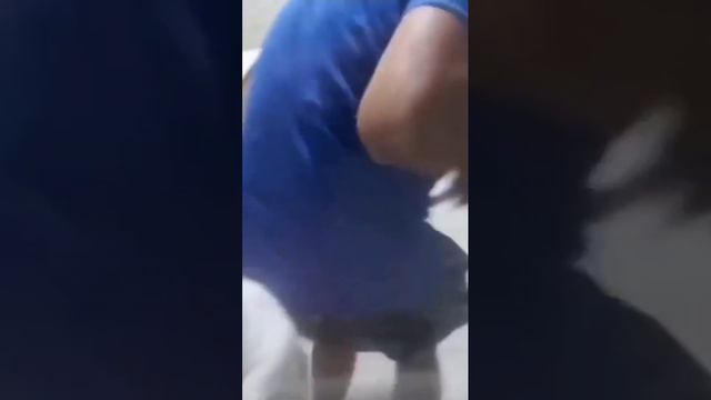 VID_20231218_135255_195.mp4