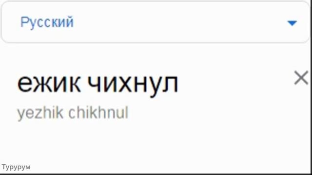 Ежик чихнул на разных языках мем!