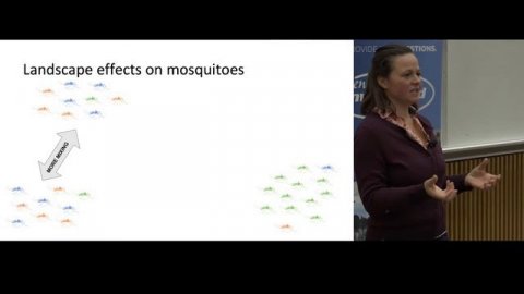 Making Use of the Great and Small: Tracking Disease-Carrying Mosquitoes with Satellites