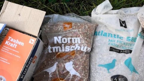 Запасся на зиму минералкой для голубей