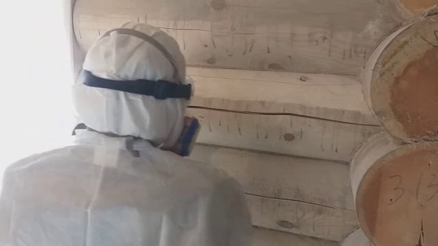 Первичная_шлифовка_Оцилиндрованный_дом_Макгрегор_так_не_сможет.