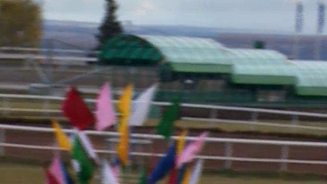 11 Октября 2018   3 Заезд Приз в честь Дня Республики