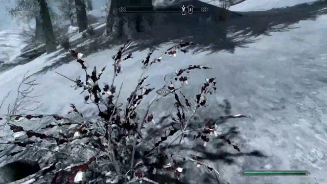 The Skyrim Quest for Unique Items: 005 Aegisbane and Muiri's Ring