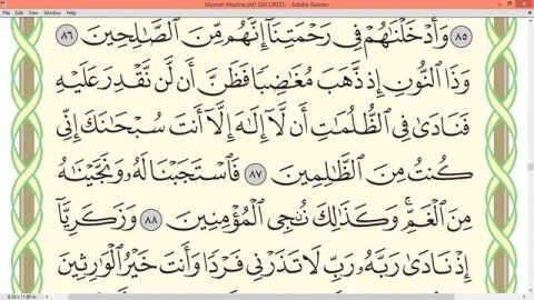Шейх Айман Сувейд сура 21 Аль Анбийя Al Anbiya стр 329