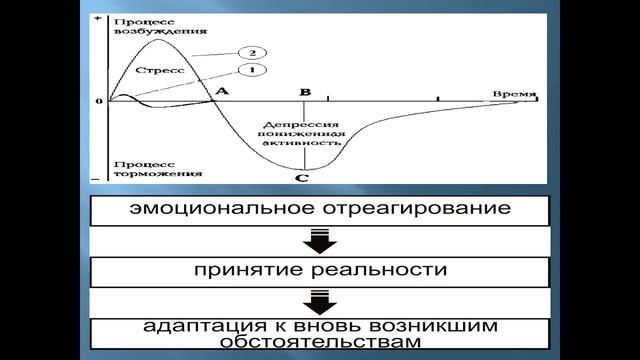 «Стресс. Травма.  Как изменить и наладить  отношения со стрессом» Ростислава Пекарюк 20 06 17