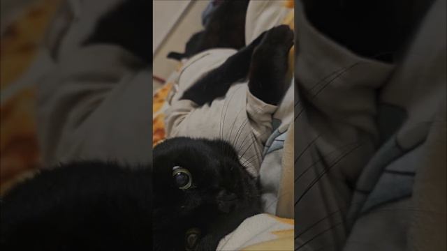 1000178747.mp4