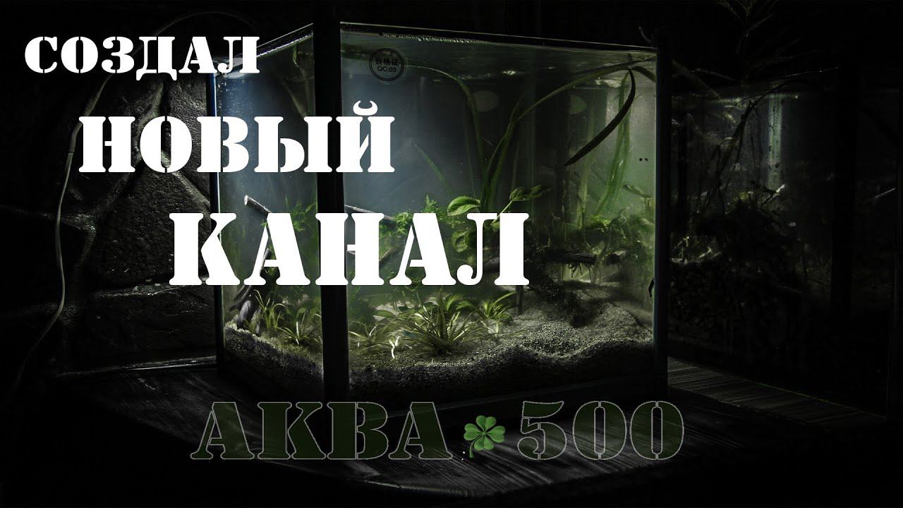 ПРИВЕТСТВУЮ ВСЕХ !!! на новом КАНАЛЕ #Аква+500
