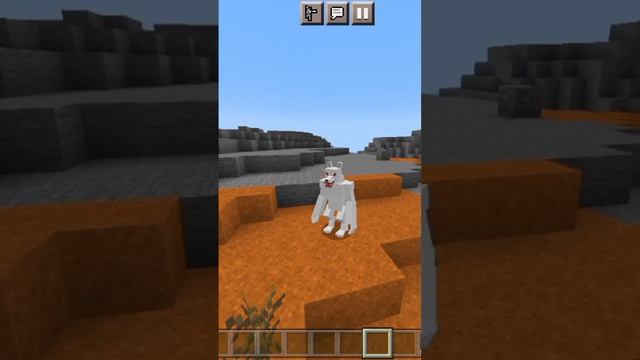 обзор мода на оборотней #shorts #minecraftpe #майнкрафтпе