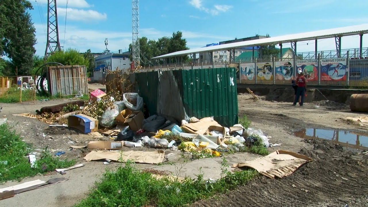 Бийчане возле мусорной площадки на ул. Разина наблюдали за борьбой крыс с голубями за еду