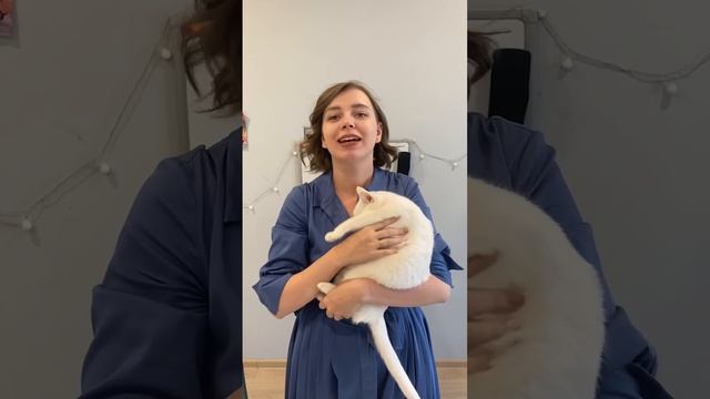 This is my cat. Homework for kids