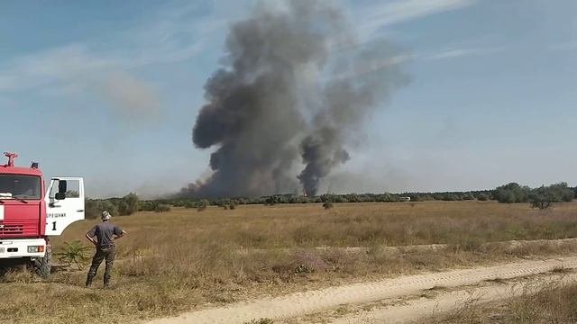 Горит лес в Херсонской области