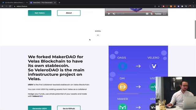 VELERO DAO REVIEW & PRICE PREDICTION