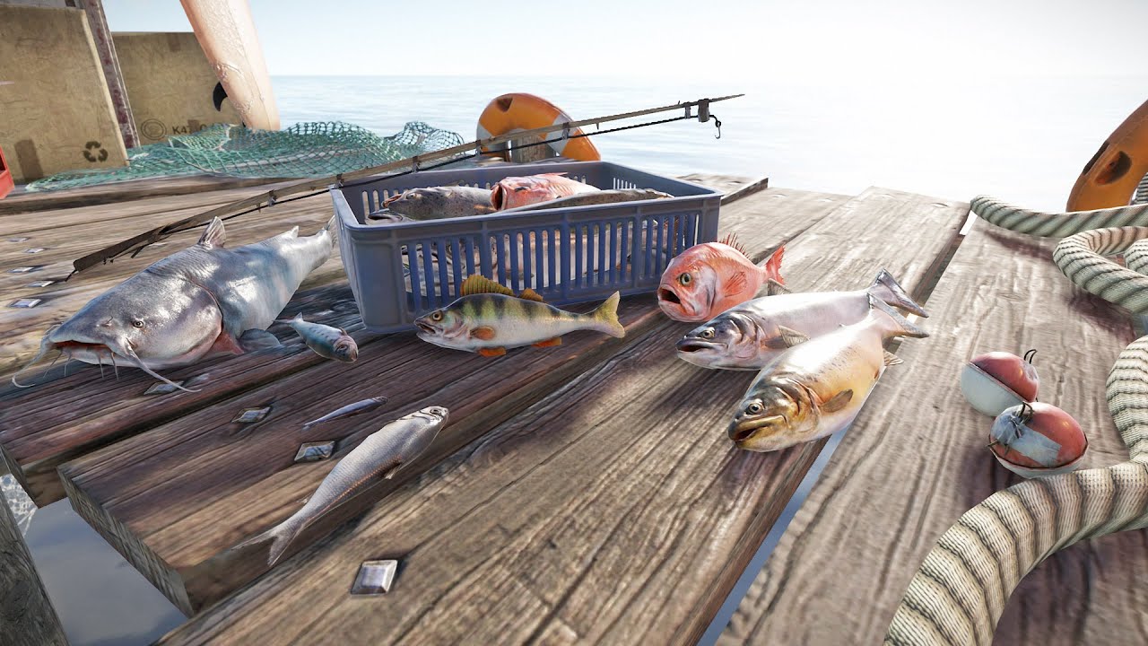 БОТ для рыбалки в Rust RAINDAY