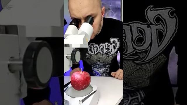 Что-то живёт на яблоке