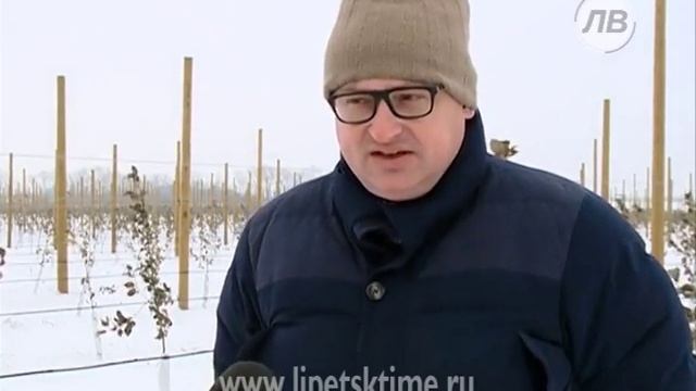Старейшее в области хозяйство «Агроном» обрел...