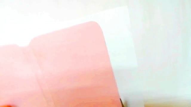 DIY Iphone 12 Pro Max Notebook