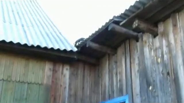 Котя бряк... бряк бряк).avi