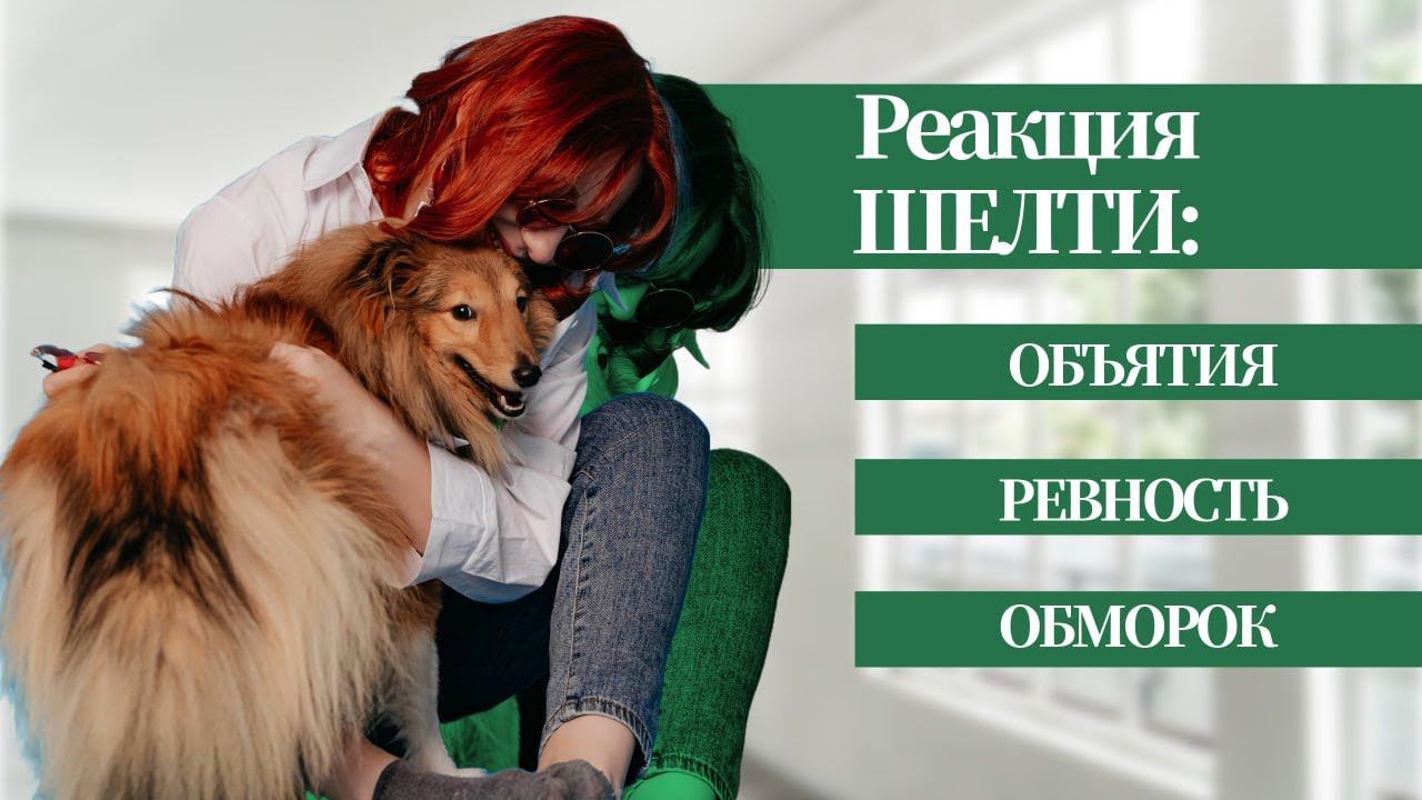 Проверяем реакцию ШЕЛТИ на объятия и ревность