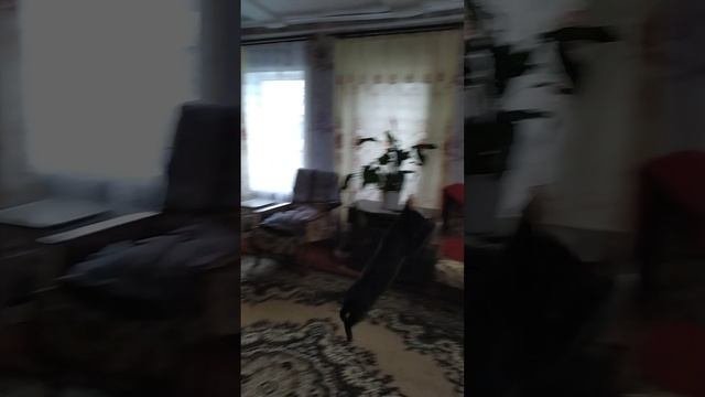 Поймала