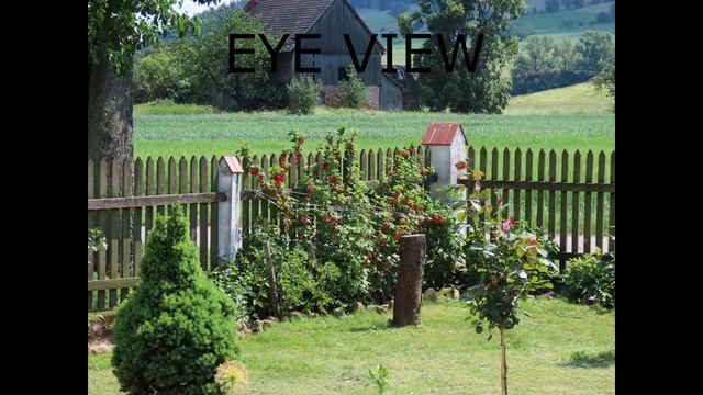 Canon powershot sx70 hs ZOOM TEST (photos +video)