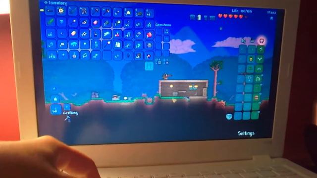Terraria Thor-amity | 5 Minute Bard Challenge!?
