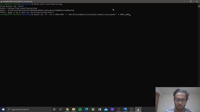 Deploying Tensorflow Models using Docker, Tensorflow Serving and Heroku on WSL