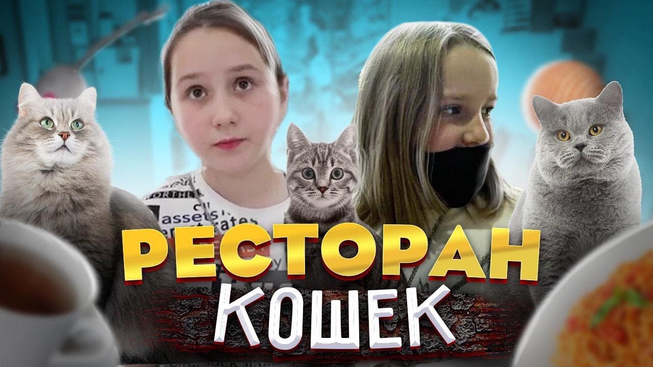 КОТОКАФЕ В КИТАЕ  РЕСТОРАН КОШЕК