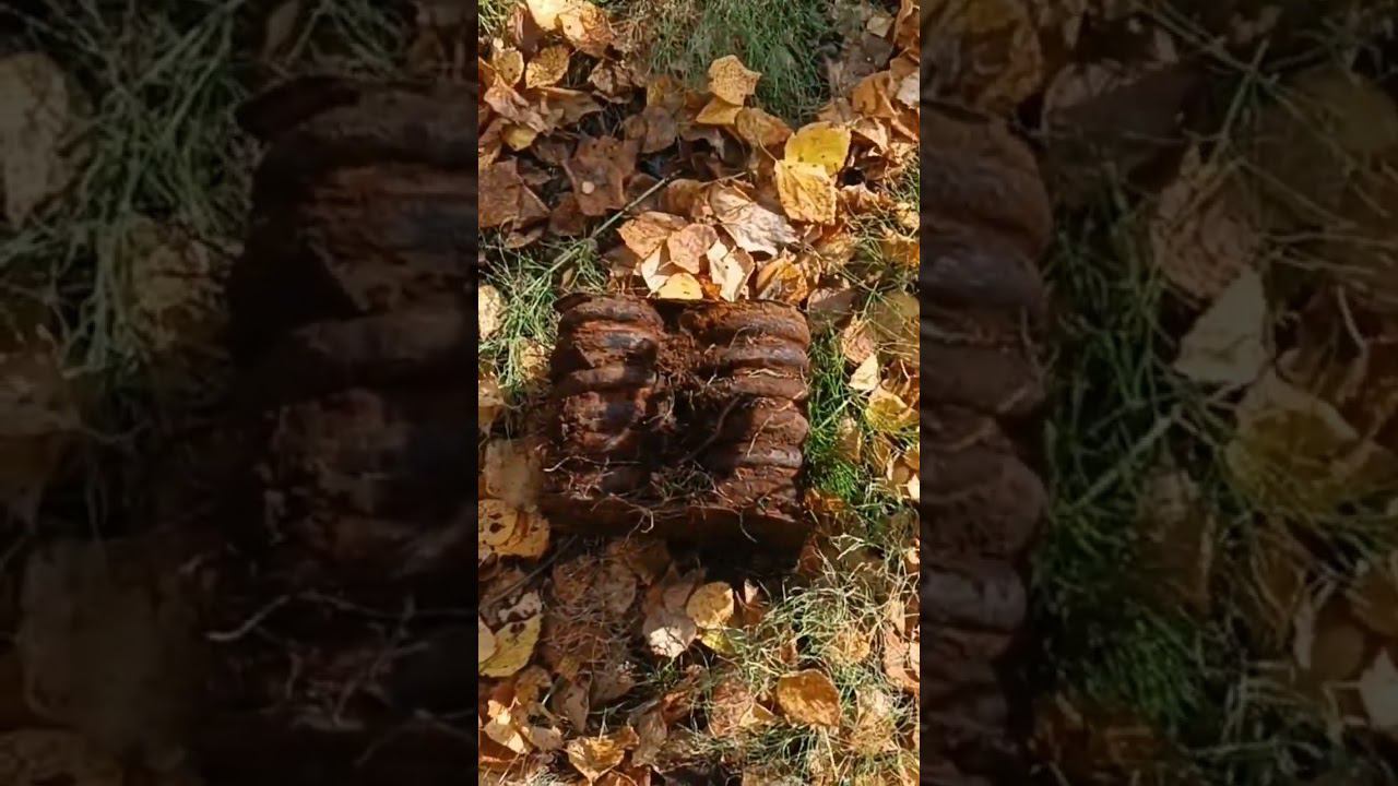 Металлокоп на УЖД
