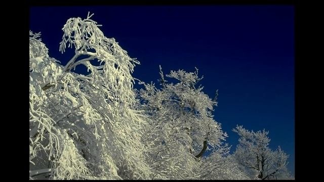 вот север тучи нагоняя..Пушкин А.С.
