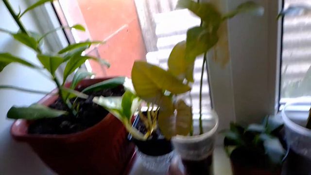 Хочется всегда делиться только радостью!