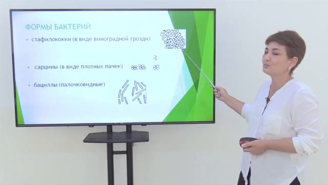Mavzu: Царсво прокариоты подцарсво бактерии