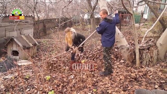 • Убрали двор, заготовили дрова