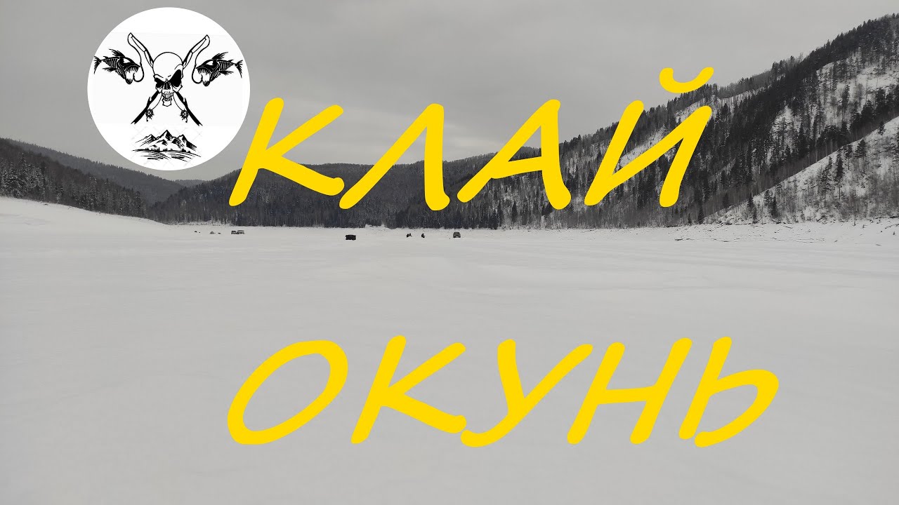 Зимняя рыбалка в клайском заливе. Январский окунь