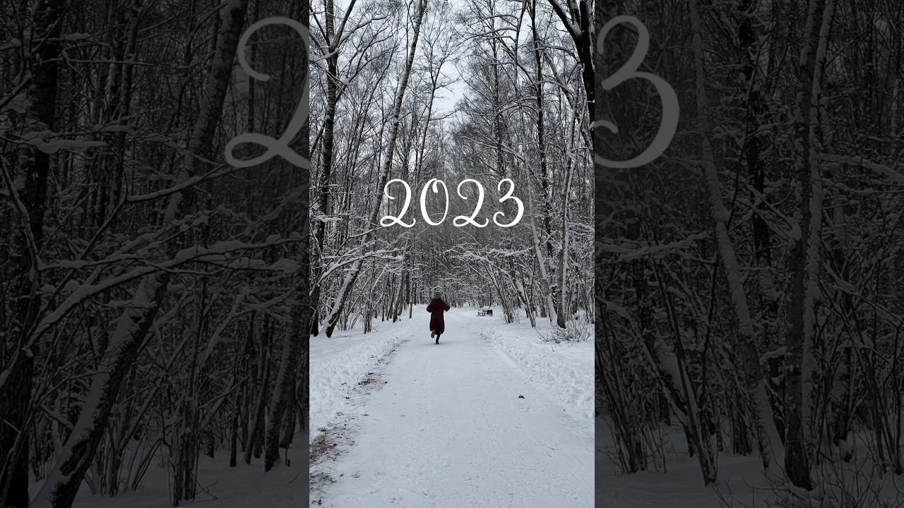 Мой 2023 | #год #итоги #итогигода #2023 #2024 #эстетика #воспоминания #year #result #aesthetic #wow