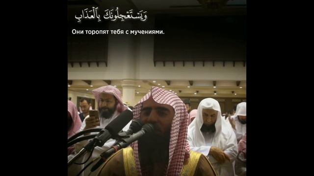 Люхайдан прекрасное чтение Корана! коран quran islam люхайдан