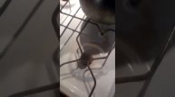 Говорят что газ не замерзает .