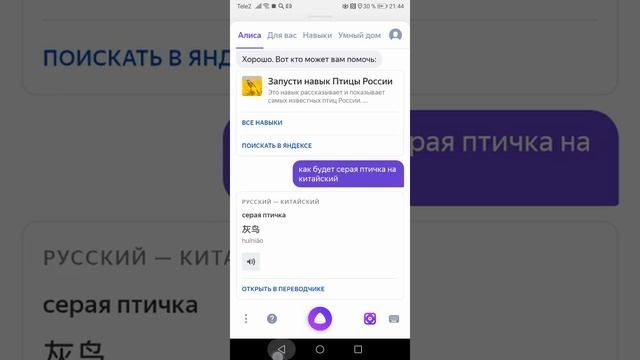 Называется Серая птичка за маты прощения