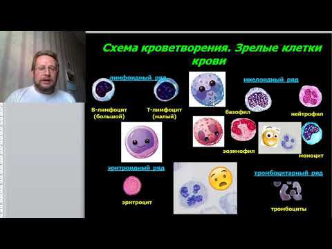 Введение в кровь - физико химические свойства крови