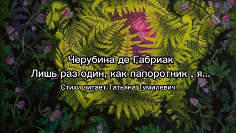 Черубина "Лишь раз один, как папоротник, я..." Стихи читает Татьяна Тумилевич.