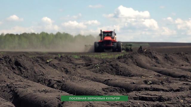 Давайте сеять будущее вместе! Посевные работы в Красноярском крае.