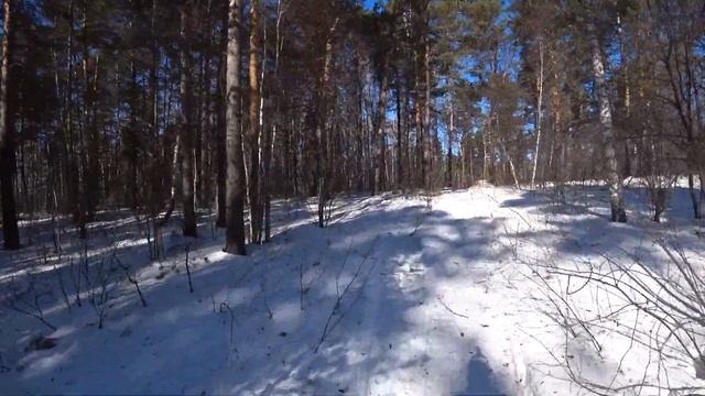 Поездка на снегоходе на Лысую Гору