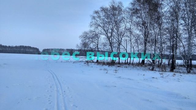 Чудная картина (А. А. Фет)/A wonderful picture (A. A. Fet)