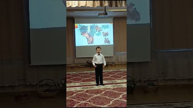 медвежонок невежа1000035870.mp4