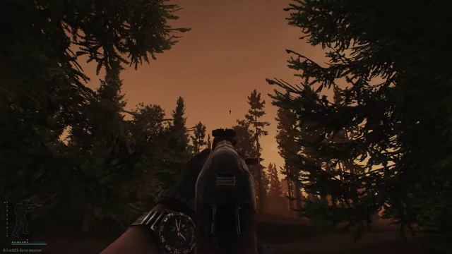 Читер в Побег из Таркова/Cheater Escape From Tarkov