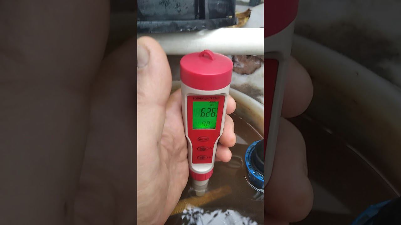 Подкормка клубники,. Поливной раствор для клубники. EC воды и поливного раствора для клубники.