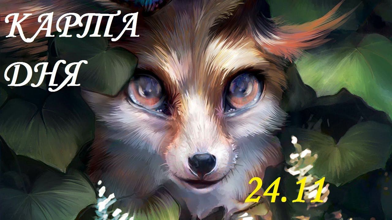 КАРТА ДНЯ 24 НОЯБРЯ ГОРОСКОП