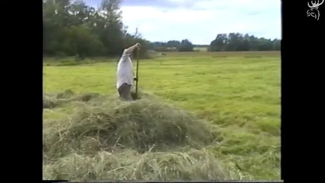 Бараново